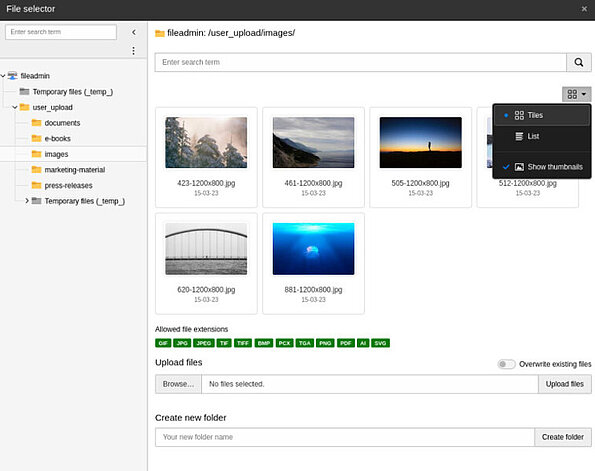 TYPO3 v12.3 Element Browser Funktion Titelansicht