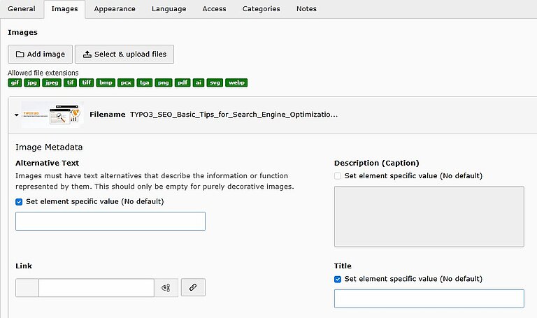 Alt text for Images Alt text for Images