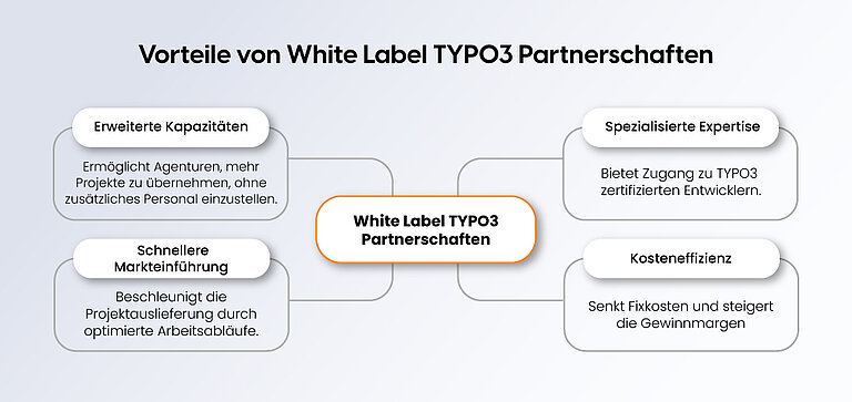 Vorteile von White-Label-TYPO3-Partnerschaften Vorteile von White-Label-TYPO3-Partnerschaften