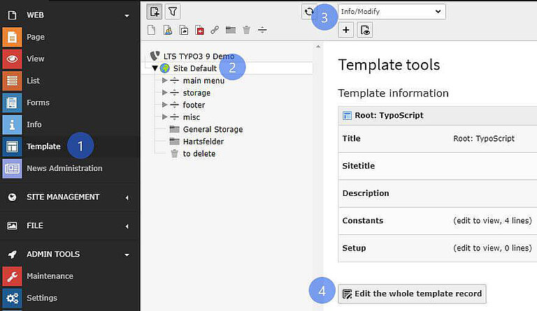 Activate the TypoScript Activate the TypoScript