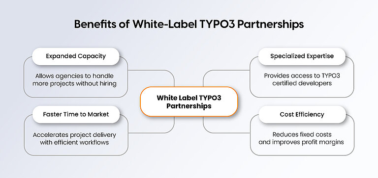 Benefits of White-Label TYPO3 Partnerships Benefits of White-Label TYPO3 Partnerships