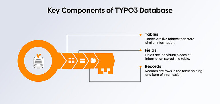 Key Components of TYPO3 Database Key Components of TYPO3 Database