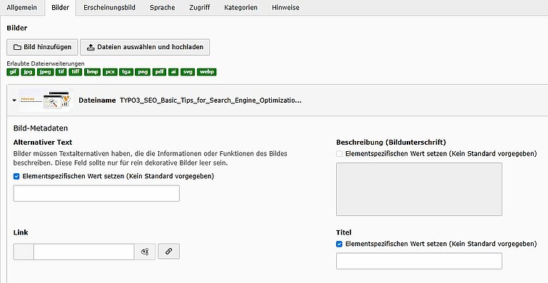 Alt Text für Bilder Alt Text für Bilder