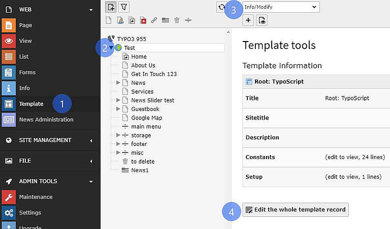 Activate the TypoScript Activate the TypoScript