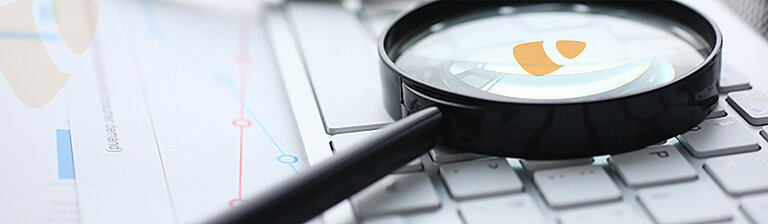 TYPO3 Skills TYPO3 Skills