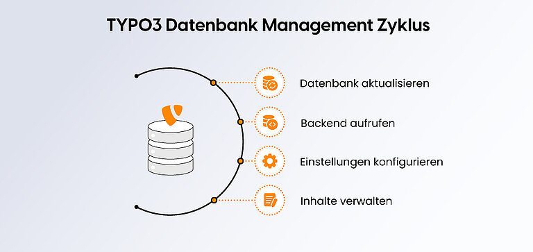 TYPO3 Datenbank Management Zyklus TYPO3 Datenbank Management Zyklus