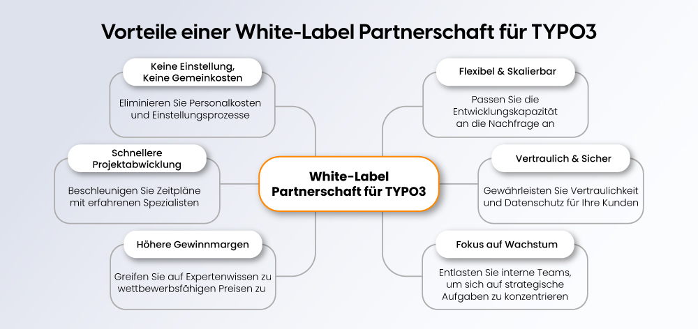 Vorteile einer White-Label Partnerschaft für-TYPO3
