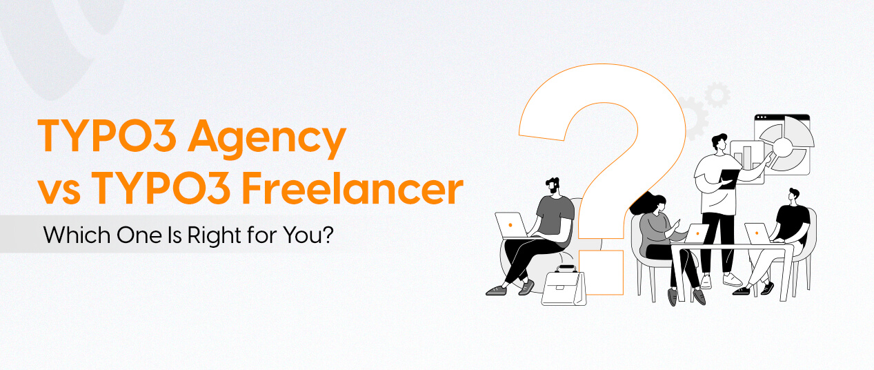TYPO3 Agency vs TYPO3 Freelancer: Which One Is Right for You?