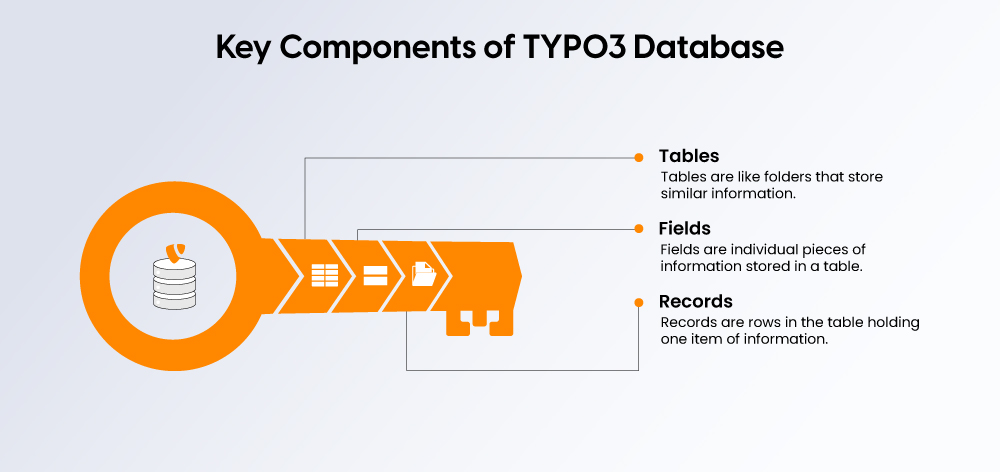 Key Components of TYPO3 Database