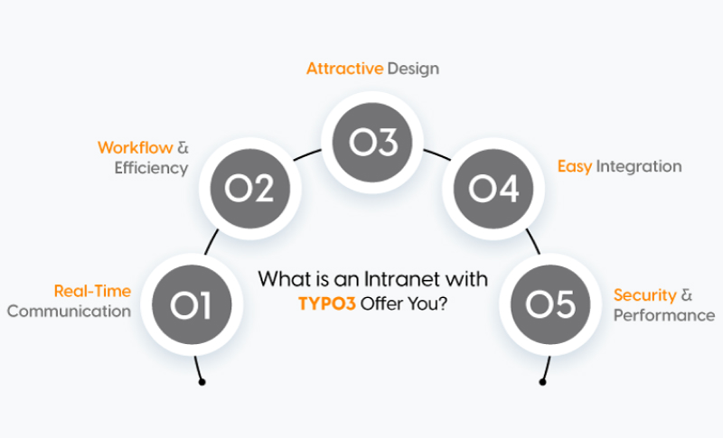 What is an Intranet with TYPO3 Offer You?