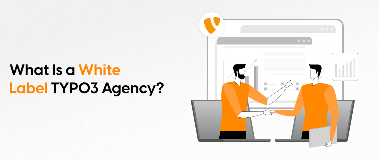 What Is a White-Label TYPO3 Agency?