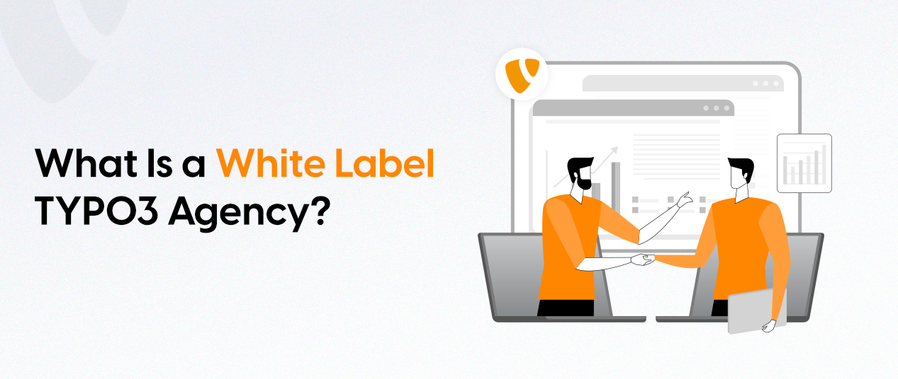 What Is a White-Label TYPO3 Agency?