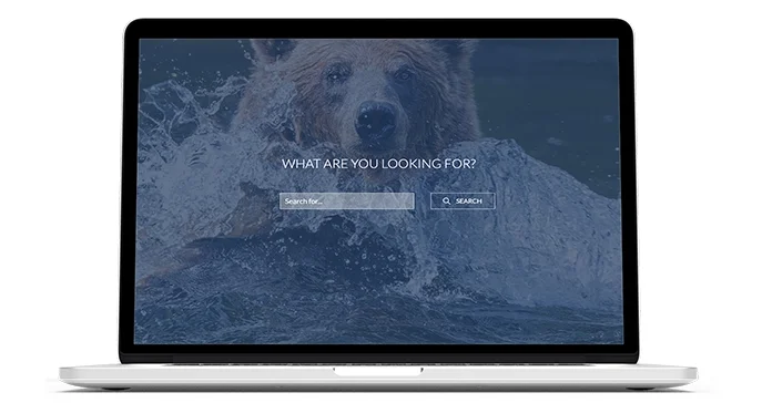 Advanced Search Functionality