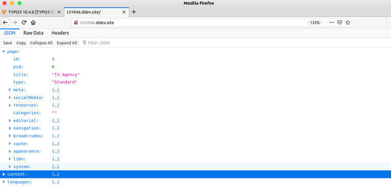 TYPO3 Headless-Vorschau TYPO3 Headless-Vorschau